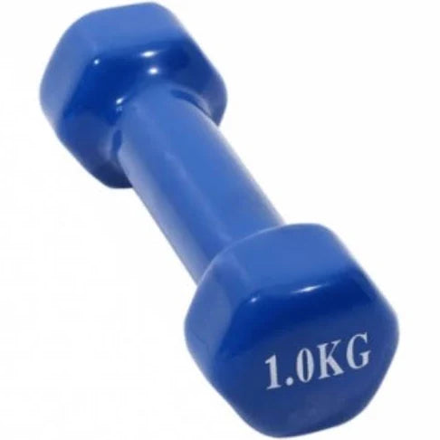 Vinyl Dumbbell 1kg