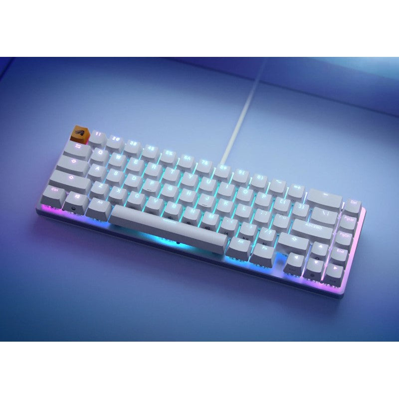 Glorious GMMK2 Compact 65% Modular Mechanical Gaming Keyboard Pre-Built Edition